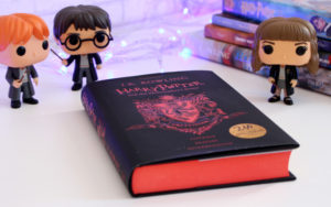 Livro Harry Potter e a Pedra Filosofal Edição Especial 20 anos Grifinória