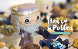 Festa com tema Harry Potter Inspiração