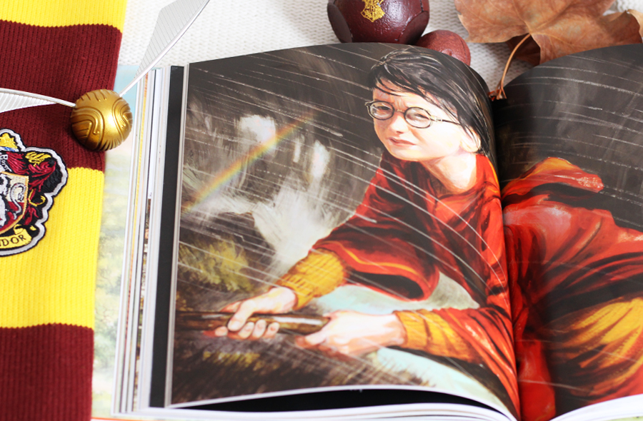 Resenha Livro Harry Potter Camara Secreta Ilustrado Rocco