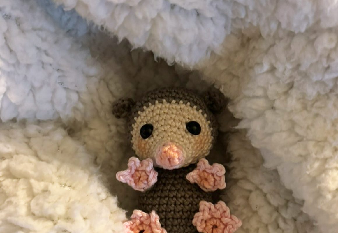 Amigurumi Colorindo Nuvens